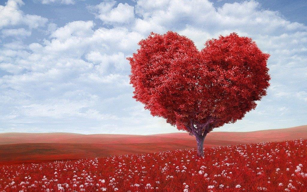 heart shaped red tree