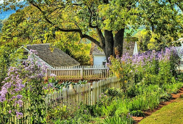 a very vibrant garden surrounding a property