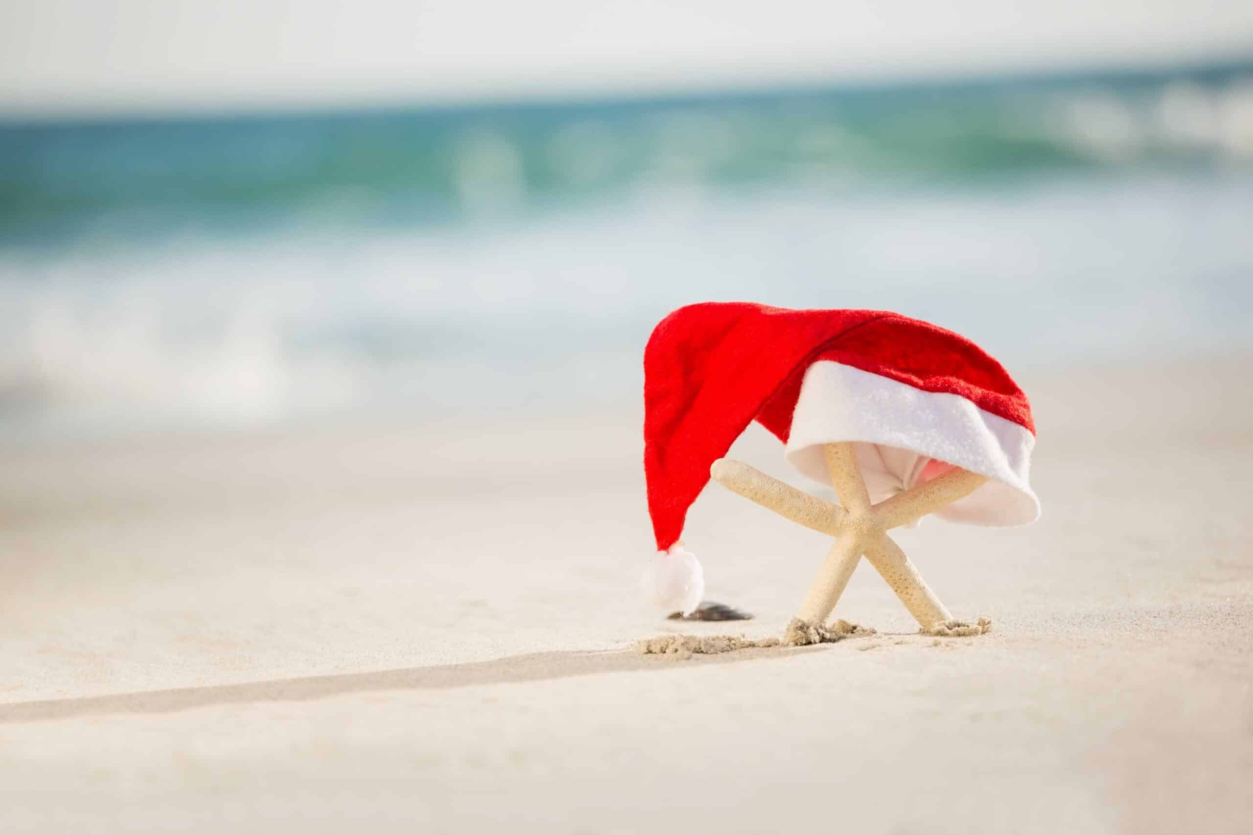 Starfish covered with a santa hat
